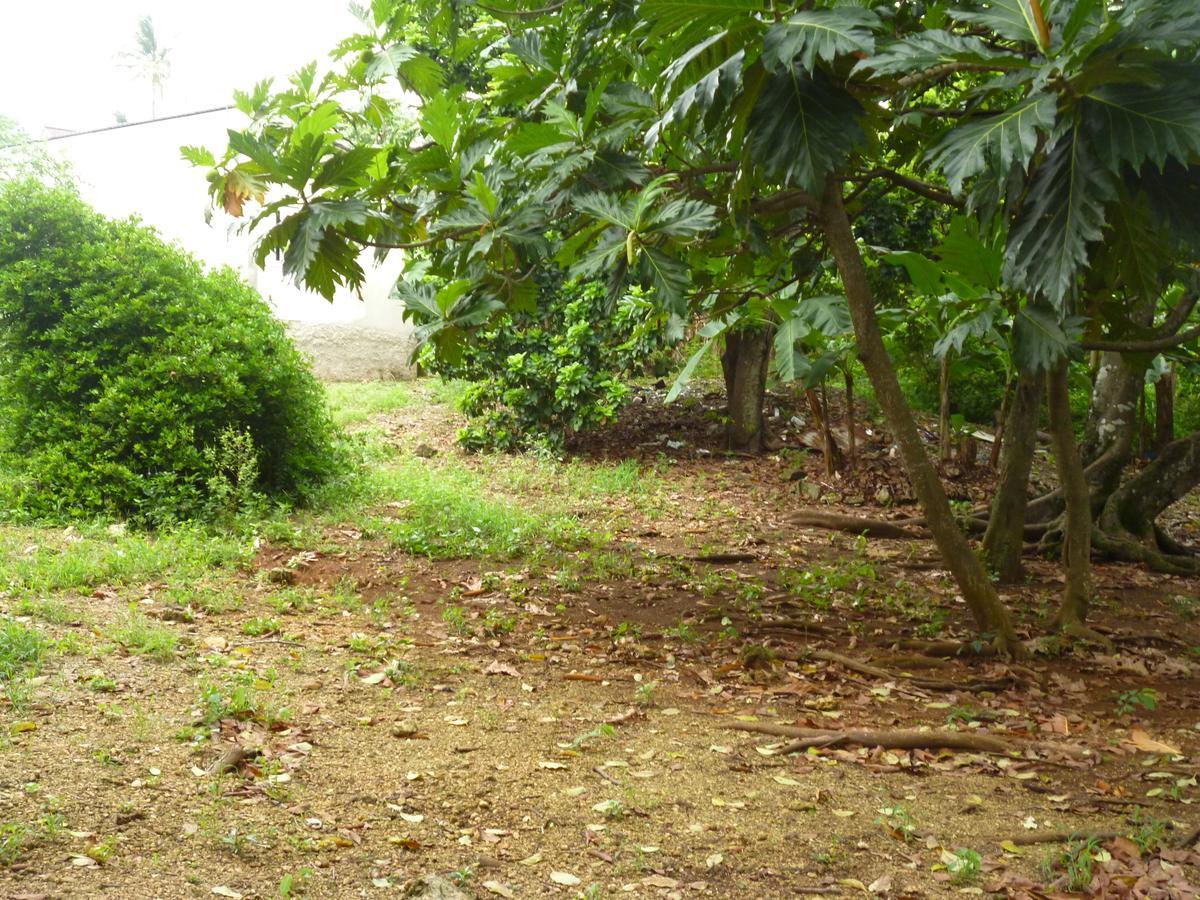 Posada Nativa Miss Casira San Andrés المظهر الخارجي الصورة