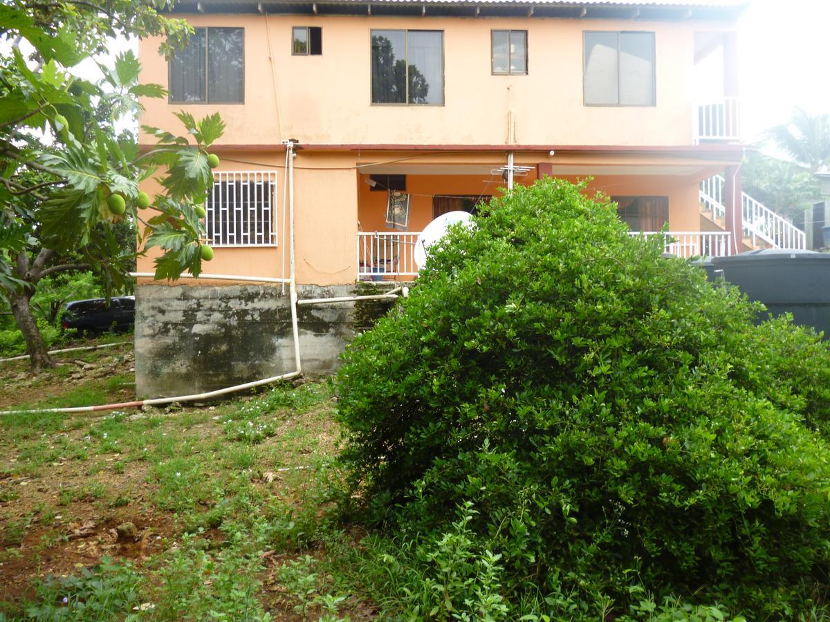Posada Nativa Miss Casira San Andrés المظهر الخارجي الصورة